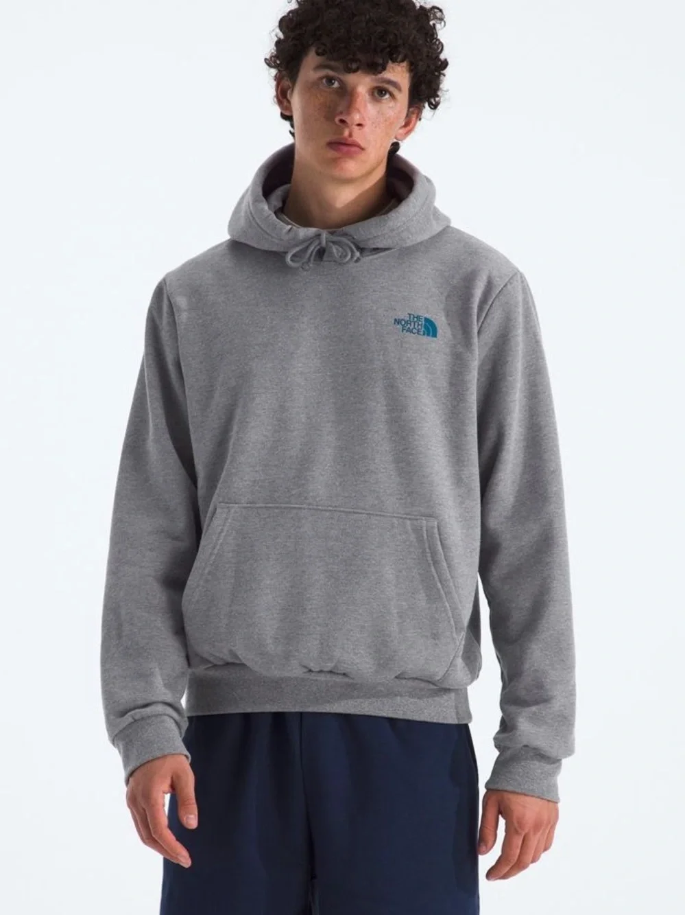 The North Face Men's Evolution Cloud Gray Hoodie Large